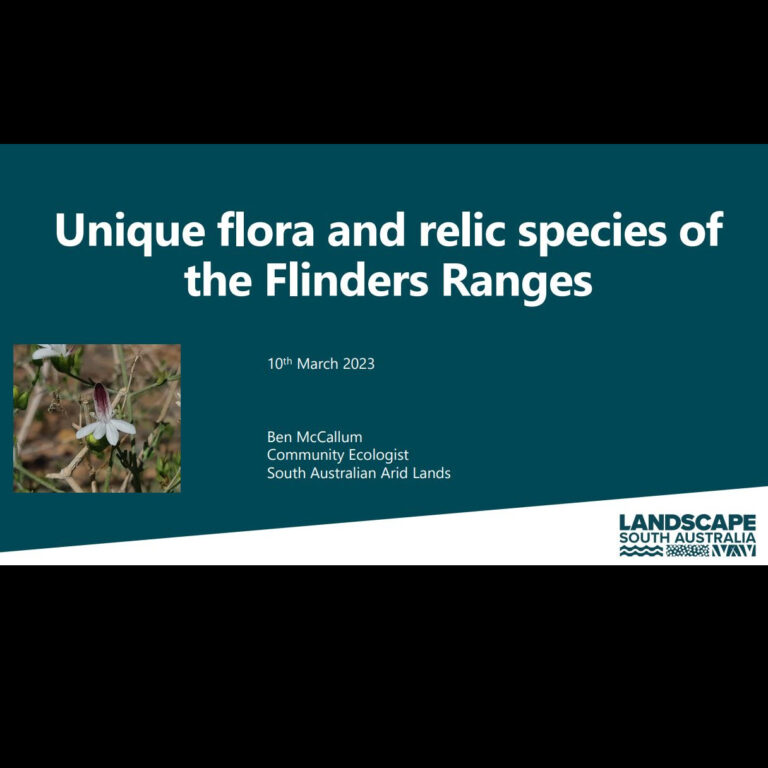 Unique flora and relic species ofthe Flinders Ranges