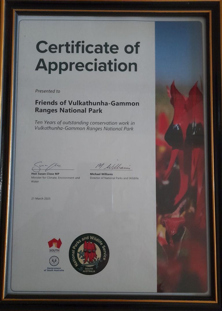 10 year Appreciation Certificates